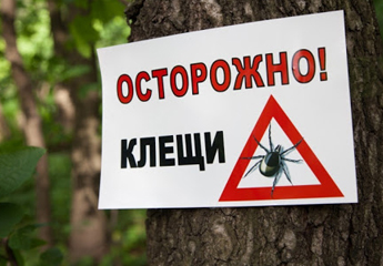 Осторожно клещи