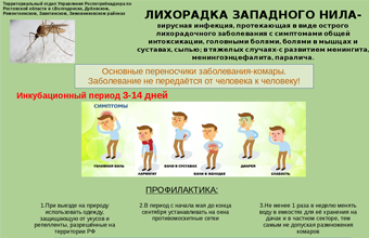 Лихорадка Западного Нила