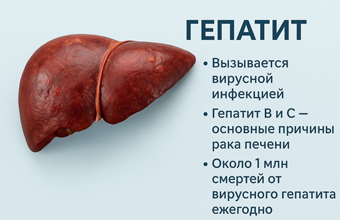 ПРОФИЛАКТИКА ГЕПАТИТА А